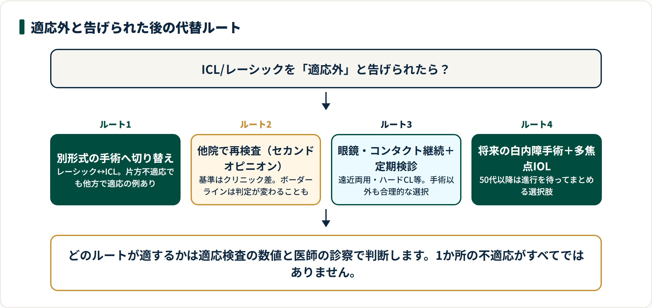 適応外後の4つの代替ルート(方式切替・再検査・眼鏡やコンタクト継続・将来の白内障手術)を並べた図。