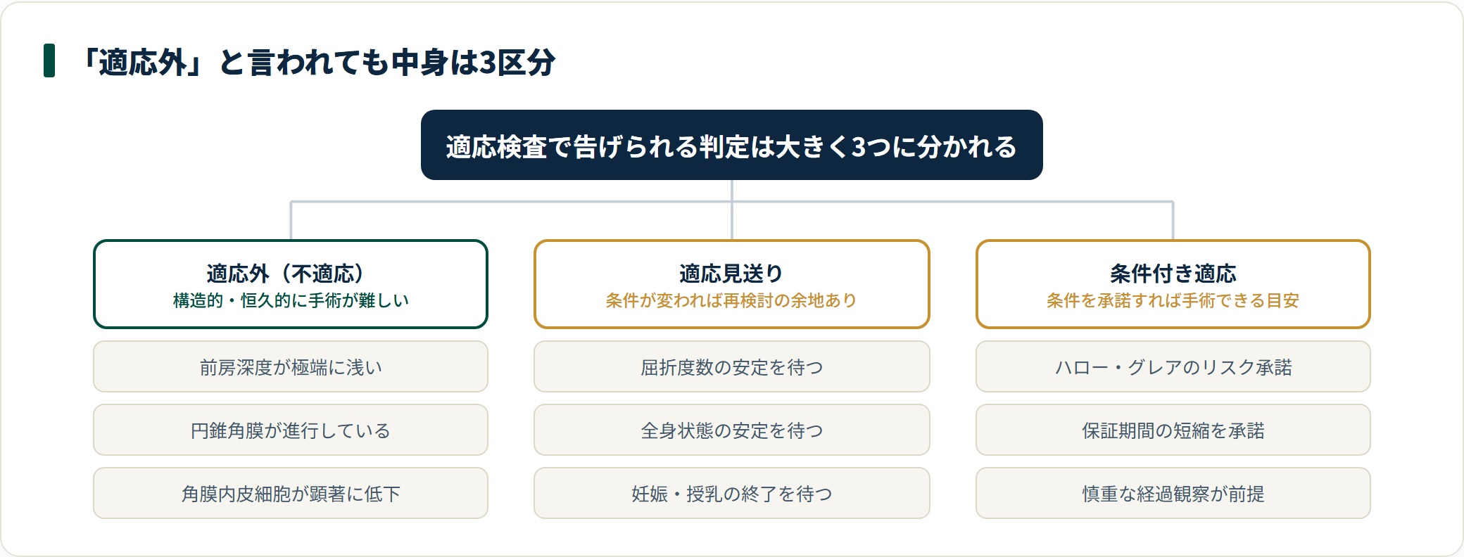 適応外・適応見送り・条件付き適応の3区分と代表例を整理した図。